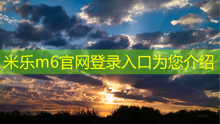 米乐m6官网登录入口：麦斯特网球网球