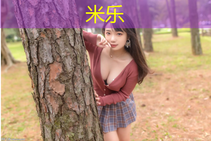 米乐为您介绍：武进网球网价格