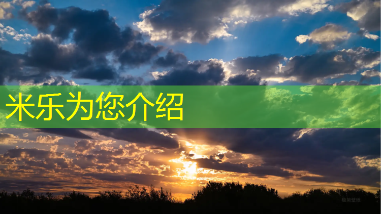 <strong>米乐：惠农区塑胶跑道</strong>