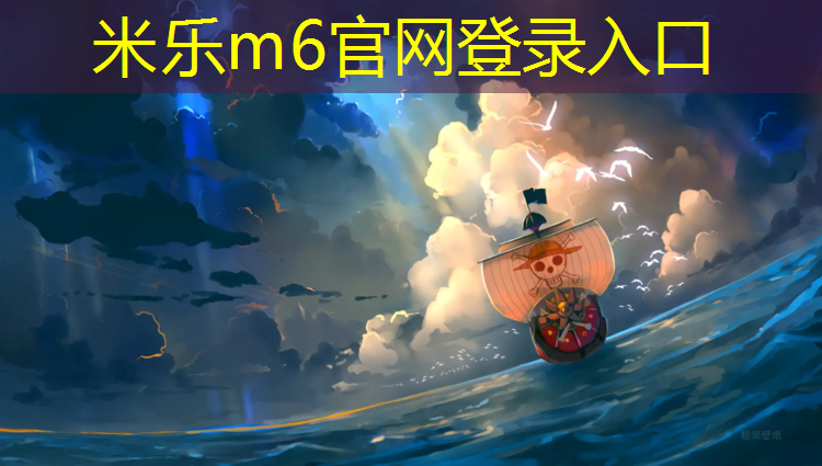 <strong>米乐m6官网登录入口：肥乡混合型塑胶跑道</strong>