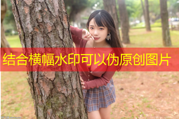 室内健身器材卧推架