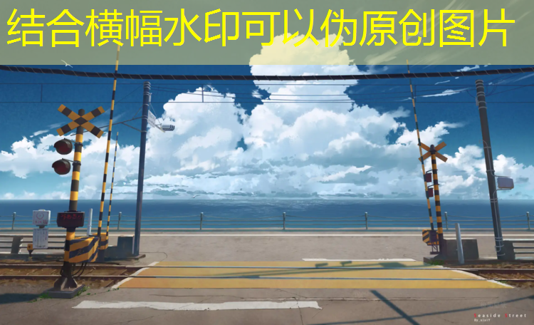 室内健身弹力器械