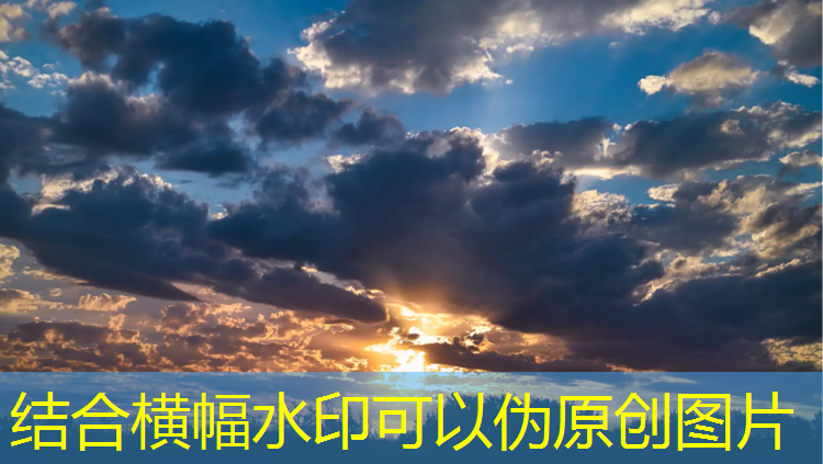 室内健身器材选哪种好一点