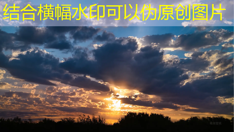 无器械室内减脂健身计划