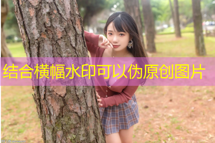 乒乓球台要怎么选
